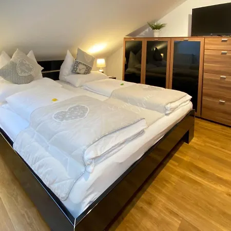 4 Apartment, 125 Qm, Ruhig Und Zentrumsnah, Max 5 Pers, Dachterasse, Garage, 1000 Mbit 公寓 伯布林根